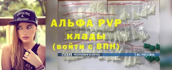 гашик Нея