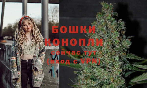 прущие крисы Новодвинск