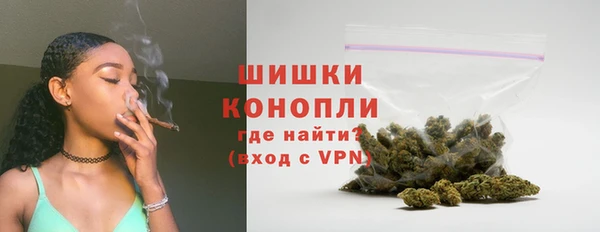 гашик Нея