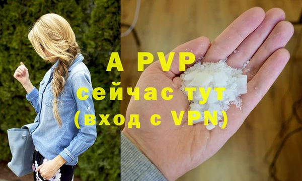 гашик Нея