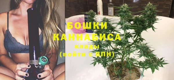 гашик Нея