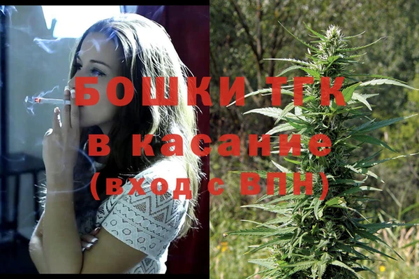 гашик Нея