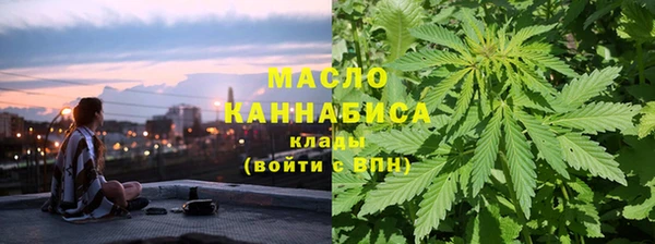 гашик Нея