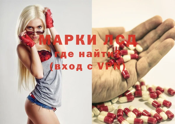 гашик Нея