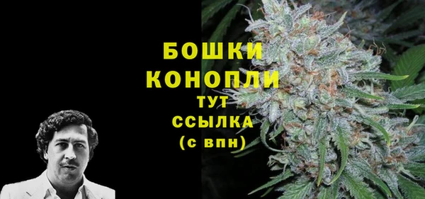 гашик Нея
