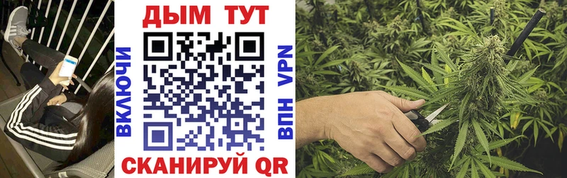 маркетплейс Telegram  Шарья  Канабис план  кракен онион 